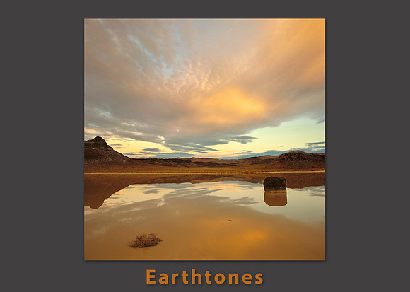 earthtones color pallette