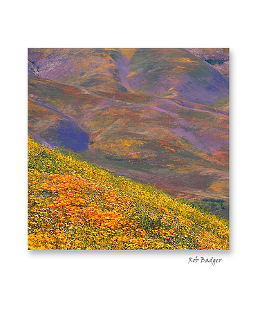 Gorman Rob_2cards_sq