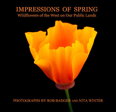 cover_impressionsofspring