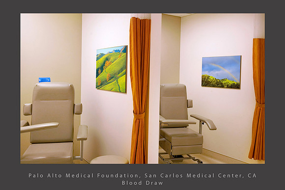 Sycamores_double rainbow PAMF San Carlos healthcare art