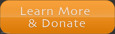 Learn more and donate navigation button