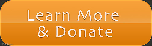submit button: learn more and donate