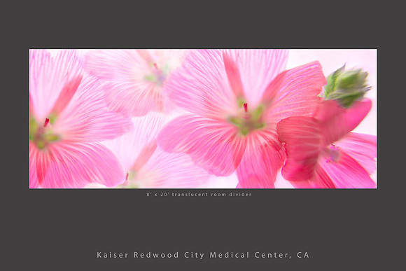 Lobby divider_checkerbloom Kaiser Redwood City healthcare slideshow