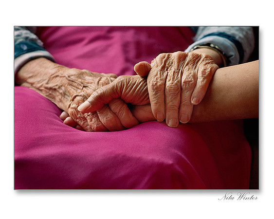 Old and Young Hands on Pink, Oakland, California