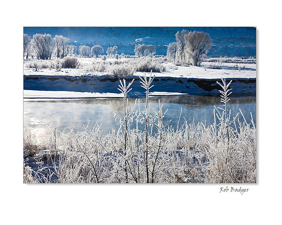 Fog Crystals on Shore of the Animas River, Durrango, Colorado