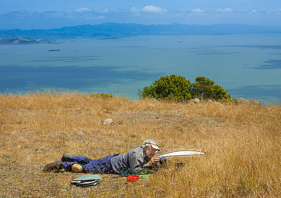 Rob Badger Photographing Wildfowers on Ring Mountain Preserve_MG_7749_winterbadger