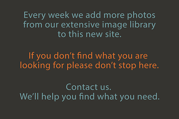 more images coming slide x1550