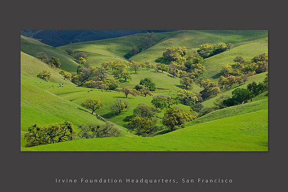 Mt Diablo_new grass Corporate slideshow template