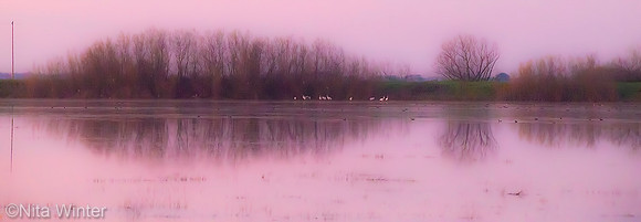 Refuge_Rob_Badger_Nita_Winter_03