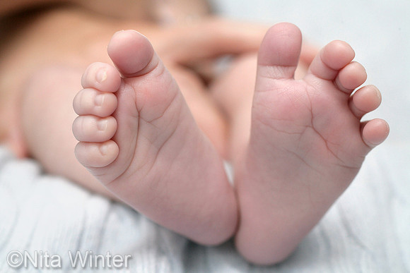 newborn feet toes baby babies people photography Nita Winter