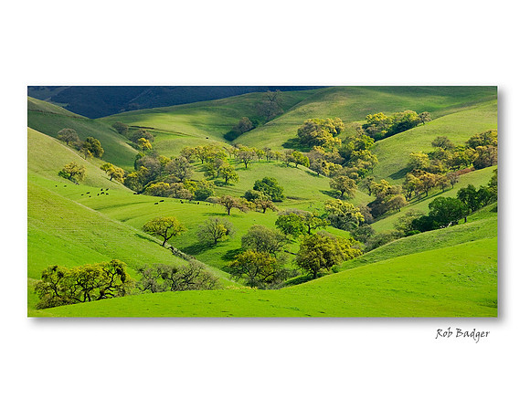 oakgrass_mtdiablo_ca_x1080