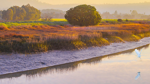 McInnis Marshlands_DSC1575_100415_1920x1080