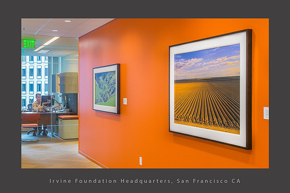 Corporate Art installation_Row Crops Mt Diablo sp_Irvine Fd_San Francisco