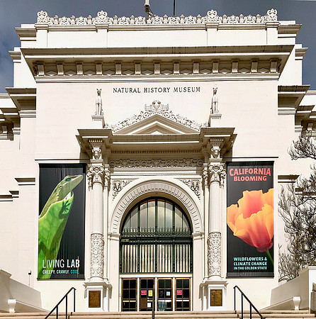 CA Blooming SDNHM Banner IMG_2361_cropped_x1200
