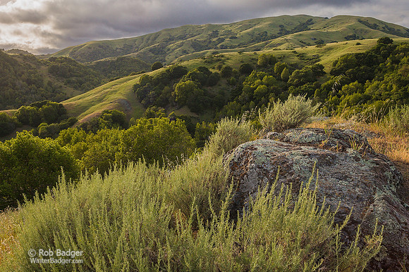 Clouds at sunset over green grasslands and oak woodlands in the Loma Alta Marin County Open Space District Land, in springtime_Marin County_California_ USA__X1_4378_Rob Badger