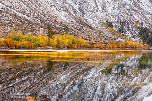 New Snow and Aspens in trees in fall foliage reflecting in quiet Convict Lake_Sierra Nevada Mountains_California_MK3A1747_Rob badger