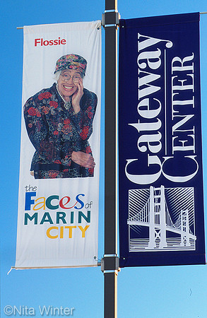 Flossie Faces Banner 009