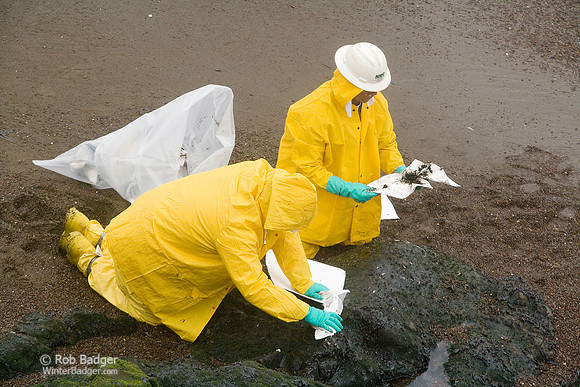 cleanup_rocks09_oil_rodeobch_ggnra_ca
