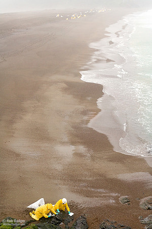 cleanup_rocks_beach01_oil_rodeobch_ggnra_ca
