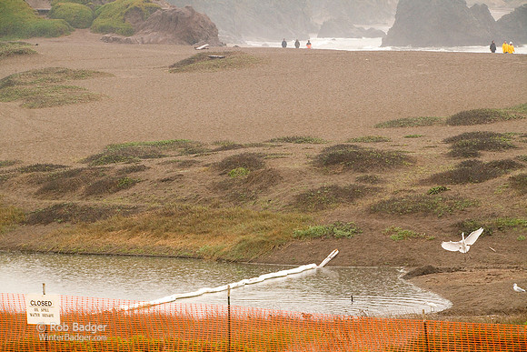 signs_beach_closure19_rodeobch_ggnra_ca