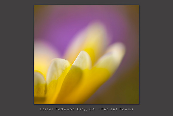 kaiser redwood city_tidytips