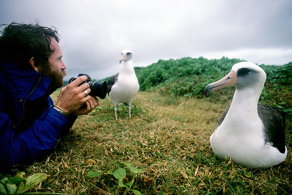 rob_albatross_kilauea_hi