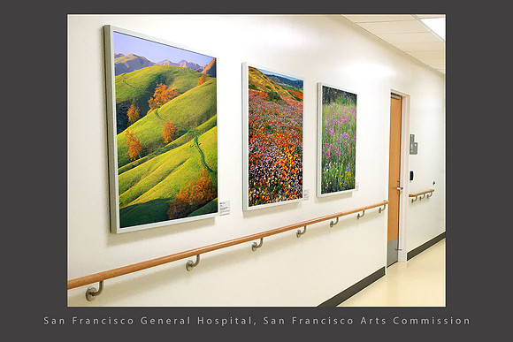 San Francisco General Hospital healthcare art Rob Badger