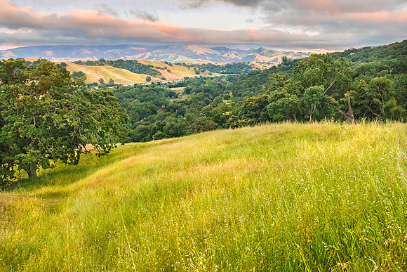 Changing Green Grass and Oaks Pleasanton Ridge Reg Pk CA_DSC5276__Alameda County Arts Commission for Highland Hospital Rob Badger