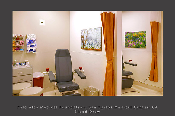 Ross Geese wildflowers PAMF San Carlos healthcare art