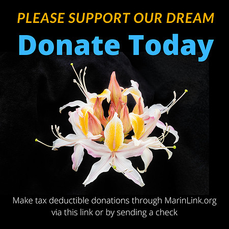 Donations