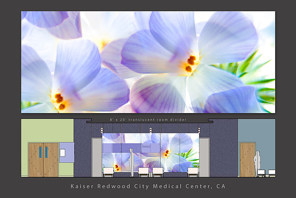 Redwod City hospital_phlox maquette