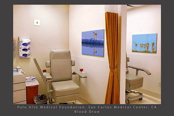 Merganser stilt PAMF San Carlos healthcare art