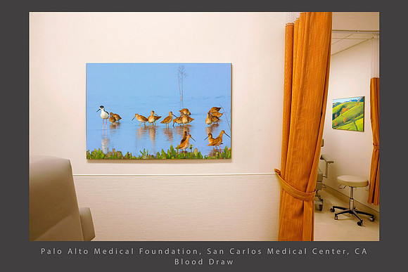 Stilt and snipes and sycamores, PAMF San Carlos healthcare
