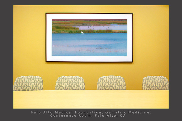 Great Egret at Dusk, Woodbridge, 30 x 72" print, PAMF_Geriatric Medicine Palo Alto CA Healthcare installation_x1500