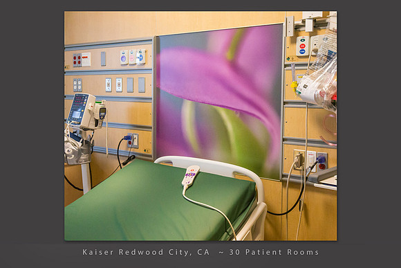 Shooting Star close up, 36 x 39" patient room art in new Kaiser Redwood City Medical Center