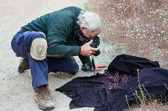 rob photographing wildflower_mt_tamalpais marin county CA_MG_0049_x800