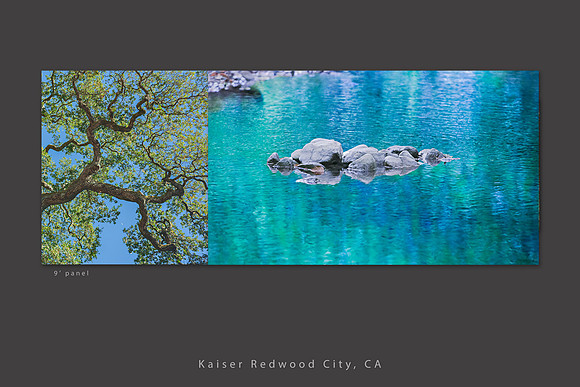 kaiser redwood city_teal_tree_water