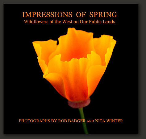 cover_impressionsofspring_webbackground_7x7