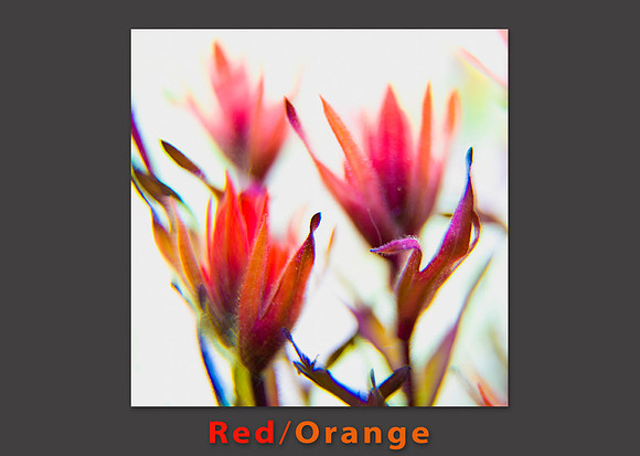 red_orange_color pallette