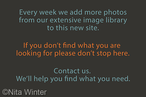 more images coming slide x1550