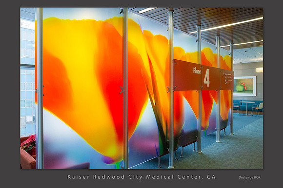 Poppies_4th floor Kaiser Redwood City hospital ca Healthcare slideshow