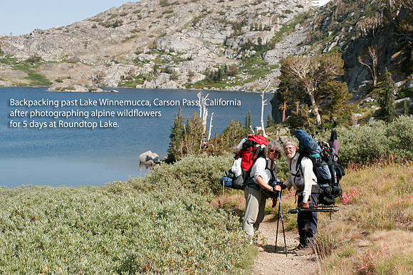 nita_rob_lake_winnemuca_ca_MG_4959_ID