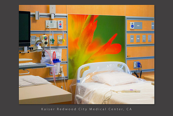 Paintbrush abstract, 36 x 39" patient room art, Kaiser Redwood City Medical Center